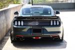 2016 Ford Mustang Fastback - Coupe GT FM